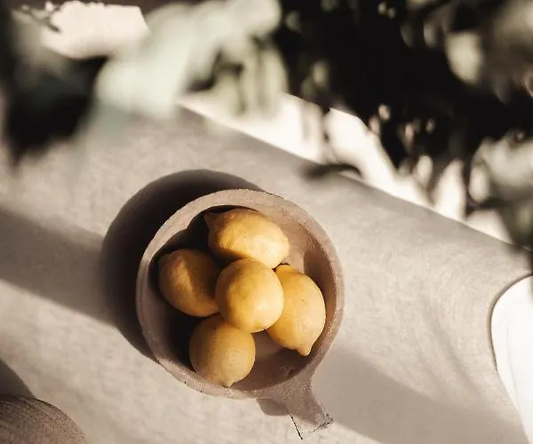 Om Living * 阿菲托斯